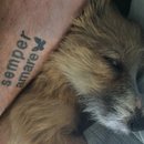 Atti Adventures (625354)