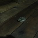 Brewster and Atti (625482)