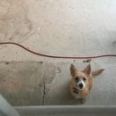 Atti Adventures (625393)