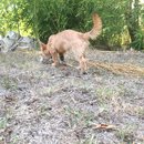 Atti Adventures (625470)