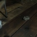 Brewster and Atti (625369)