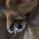 Atti Adventures (625513)