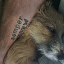 Atti Adventures (625421)