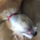 Atti Adventures (625526)