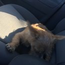 Atti Adventures (625477)