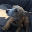 Atti Adventures (625324)