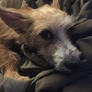 Atti Adventures (625503)