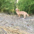 Atti Adventures (625300)