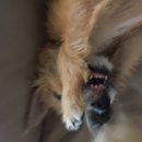 Atti Adventures (625409)