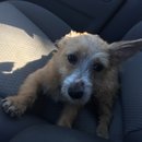 Atti Adventures (625340)