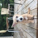 Atti Adventures (625515)