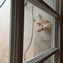 Atti Adventures (625292)