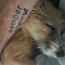 Atti Adventures (625459)