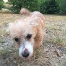 Atti Adventures (625442)