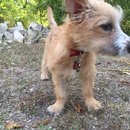 Atti Adventures (625449)