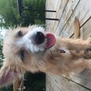 Atti Adventures (625290)