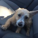 Atti Adventures (625420)