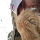 Atti Adventures (625371)