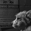 Atti Adventures (625474)