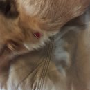 Atti Adventures (625368)