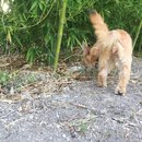 Atti Adventures (625293)