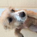 Atti Adventures (625511)