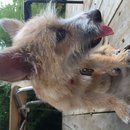 Atti Adventures (625325)