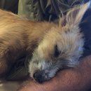 Atti Adventures (625435)