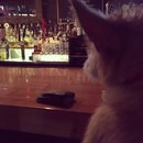 Atti Adventures (625336)