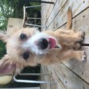 Atti Adventures (625385)