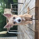 Atti Adventures (625472)