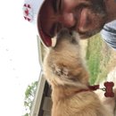 Atti Adventures (625454)