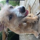 Atti Adventures (625391)