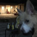 Atti Adventures (625274)