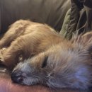 Atti Adventures (625491)