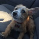 Atti Adventures (625481)