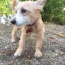 Atti Adventures (625352)