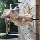 Atti Adventures (625492)