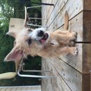 Atti Adventures (625323)