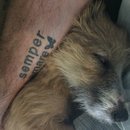 Atti Adventures (625370)