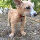 Atti Adventures (625493)