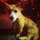 Outings with Atti (627315)