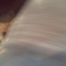 Brewster and Atti (625577)