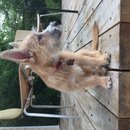 Atti Adventures (625553)