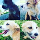 Outings with Atti (627276)