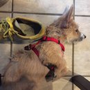 Trip to Kim's House (627235)