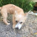 Atti Adventures (625575)