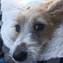 Trip to Kim's House (627212)