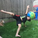 Trip to Kim's House (627343)