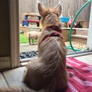 Trip to Kim's House (627300)